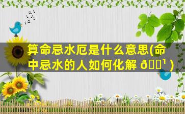 算命忌水厄是什么意思(命中忌水的人如何化解 🌹 )